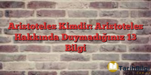 Aristoteles Kimdir: Aristoteles Hakkında Duymadığınız 13 Bilgi