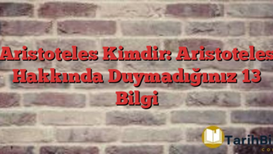 Aristoteles Kimdir: Aristoteles Hakkında Duymadığınız 13 Bilgi