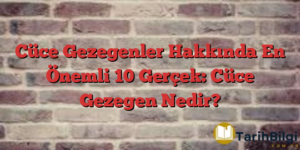 Cüce Gezegenler Hakkında En Önemli 10 Gerçek: Cüce Gezegen Nedir?