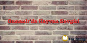 Osmanlı’da Hayvan Sevgisi