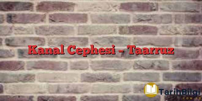 Kanal Cephesi – Taarruz