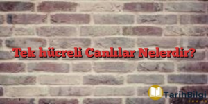 Tek hücreli Canlılar Nelerdir?