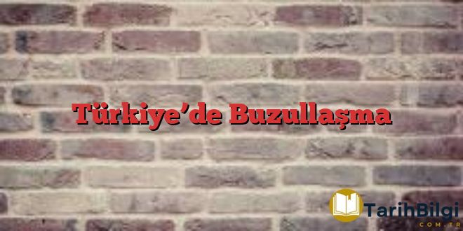 Türkiye’de Buzullaşma