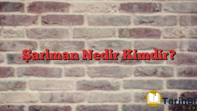 Şarlman Nedir Kimdir?