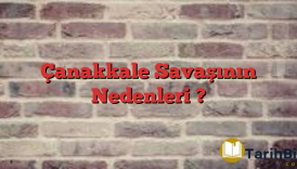 Çanakkale Savaşının Nedenleri ?