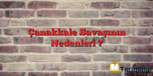 Çanakkale Savaşının Nedenleri ?