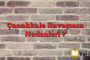 Çanakkale Savaşının Nedenleri ?