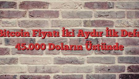 Bitcoin Fiyatı İki Aydır İlk Defa 45.000 Doların Üstünde