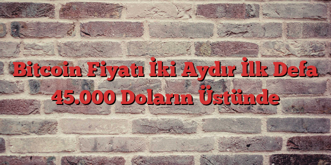 Bitcoin Fiyatı İki Aydır İlk Defa 45.000 Doların Üstünde