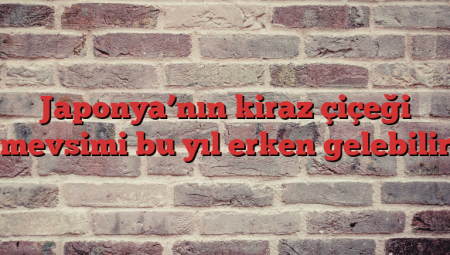 Japonya’nın kiraz çiçeği mevsimi bu yıl erken gelebilir