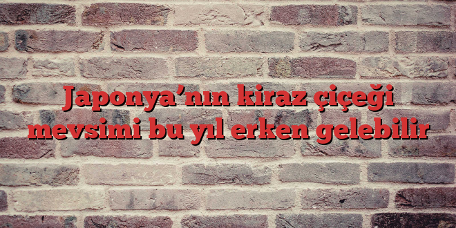 Japonya’nın kiraz çiçeği mevsimi bu yıl erken gelebilir