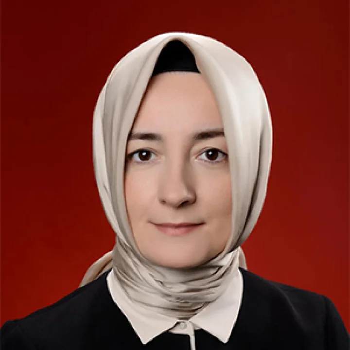 Hümeyra Şahin Kimdir? Hümeyra Şahin Kimdir?