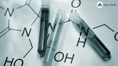 Karbon-14 Metodu Nedir? Radyokarbon Tarihleme Analizi Karbon-14 Metodu Nedir? Radyokarbon Tarihleme Analizi